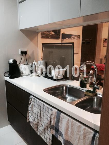 Dakota Residences (D14), Condominium #76447192